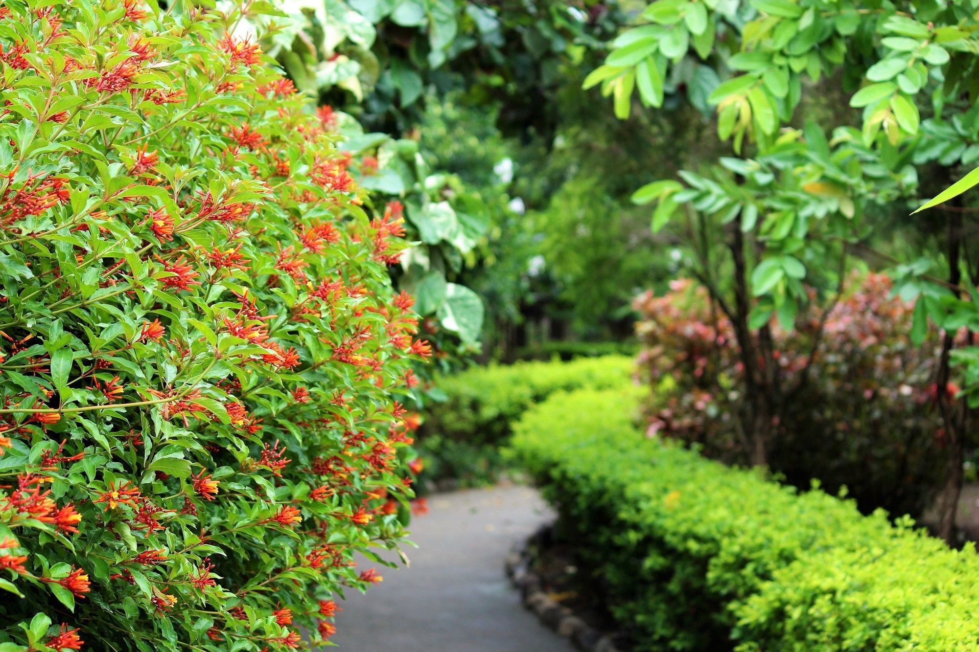 Palette Alaya Resort, Corbett Nainital Exterior photo